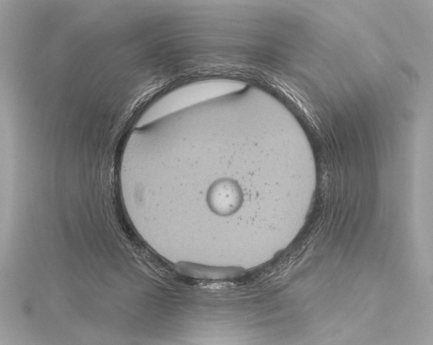 X0000115400407200912011209