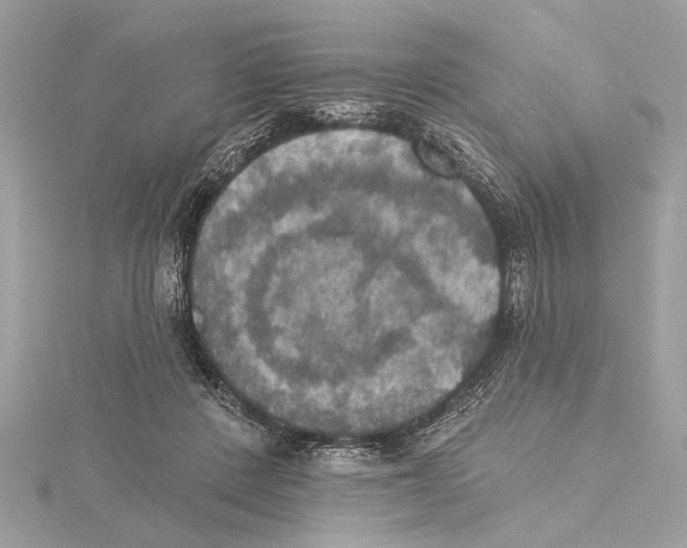 X0000115400408200912011209