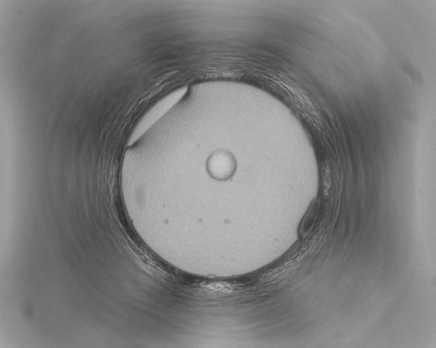 X0000115400409200912011209