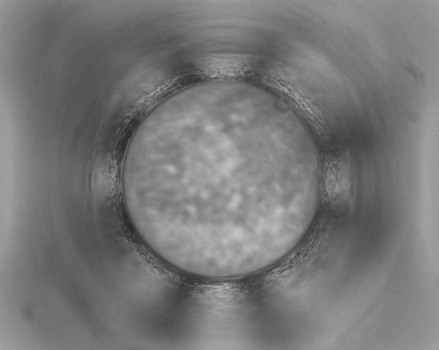 X0000115400411200912011209