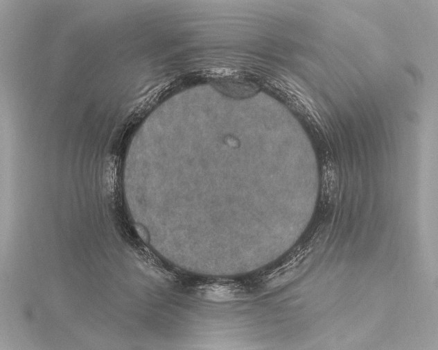 X0000115400412200912011209