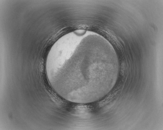 X0000115400413200912011209