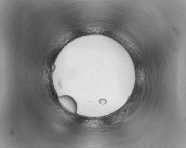 X0000115400414200912011209