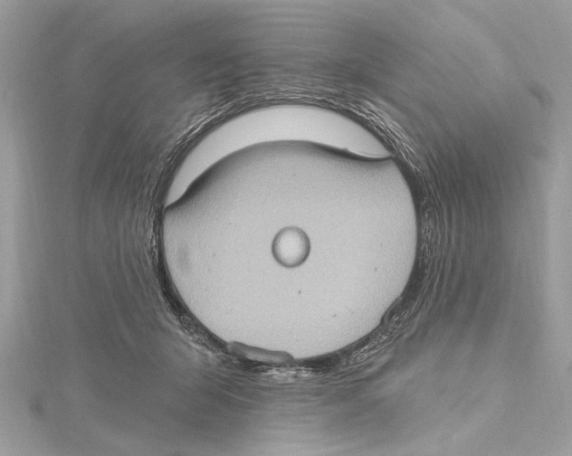 X0000115400415200912011209