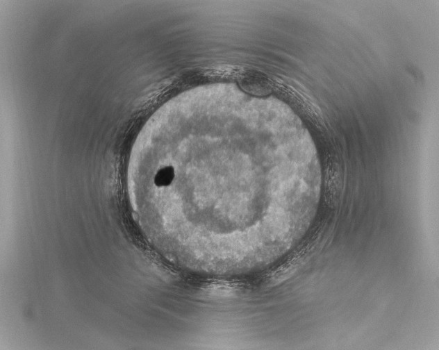 X0000115400416200912011209