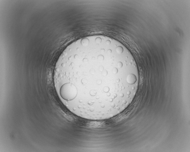 X0000115400418200912011209