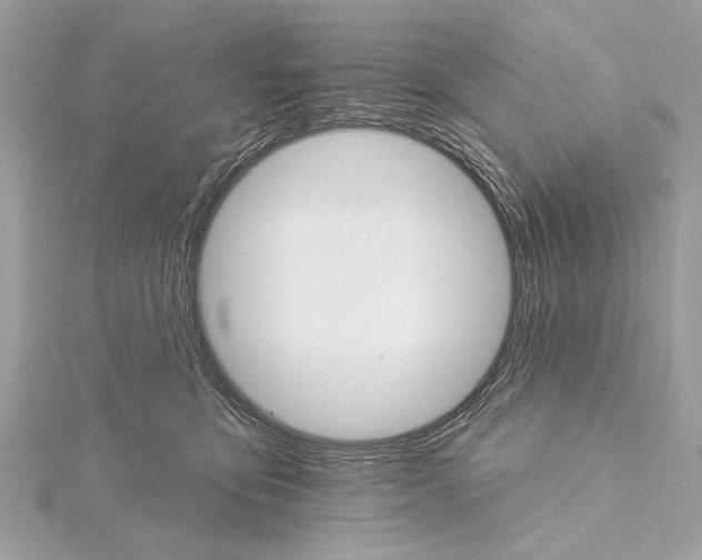 X0000115400419200912011209