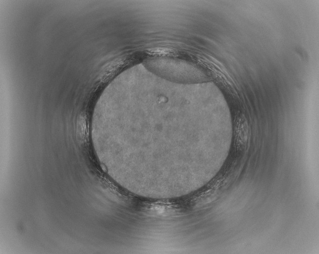 X0000115400420200912011209