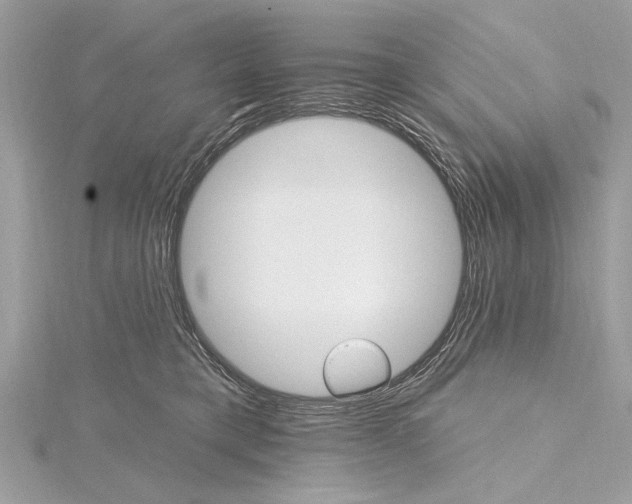 X0000115400421200912011209