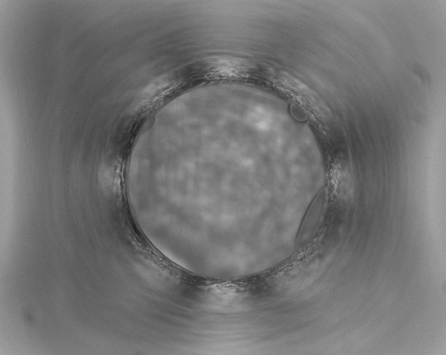 X0000115400423200912011209