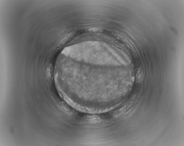 X0000115400424200912011209