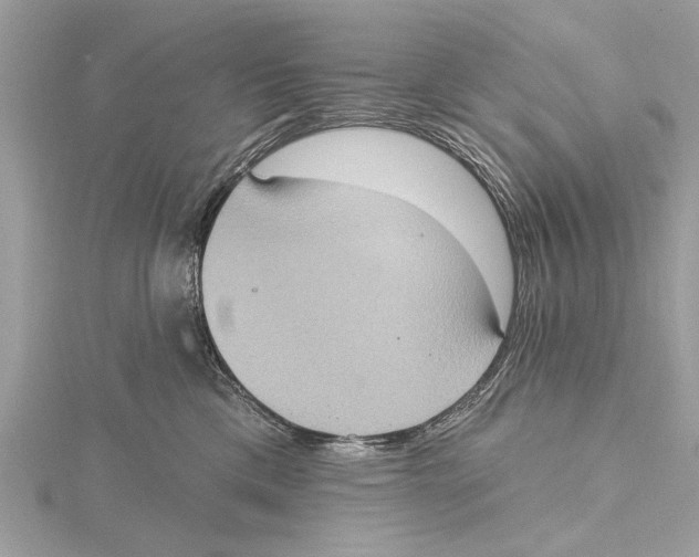 X0000115400425200912011209