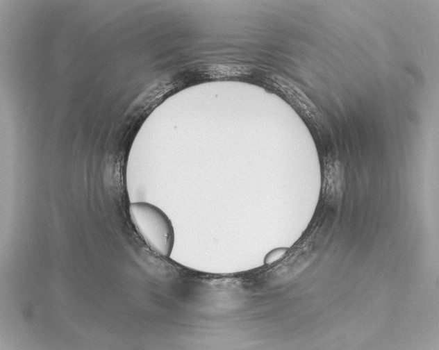 X0000115400426200912011209