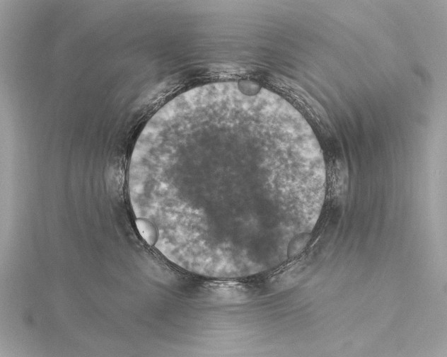 X0000115400427200912011209