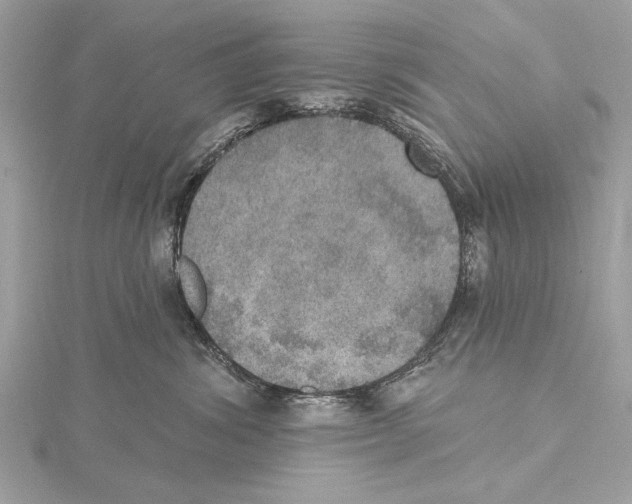 X0000115400428200912011209