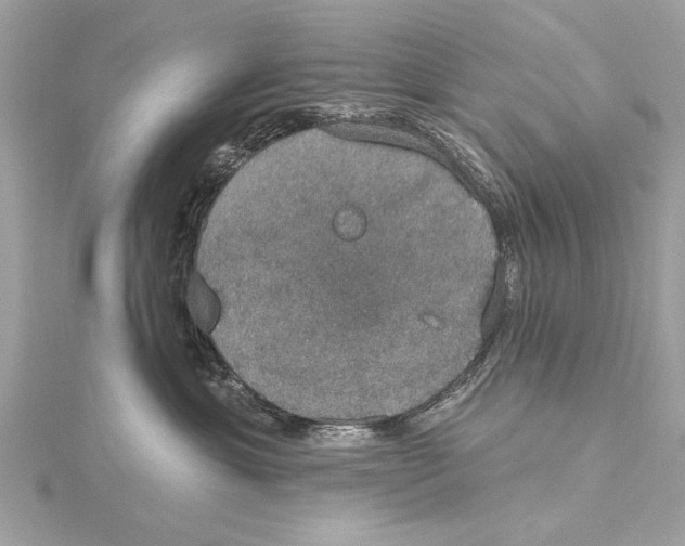 X0000115400429200912011209