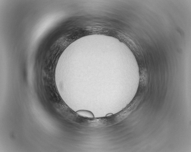 X0000115400430200912011209