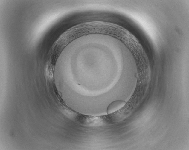 X0000115400431200912011209