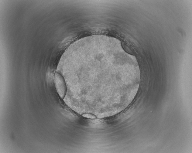 X0000115400432200912011209