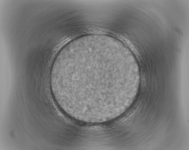 X0000115400433200912011208