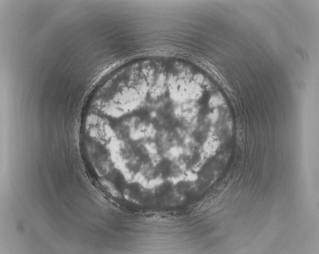 X0000115400434200912011208