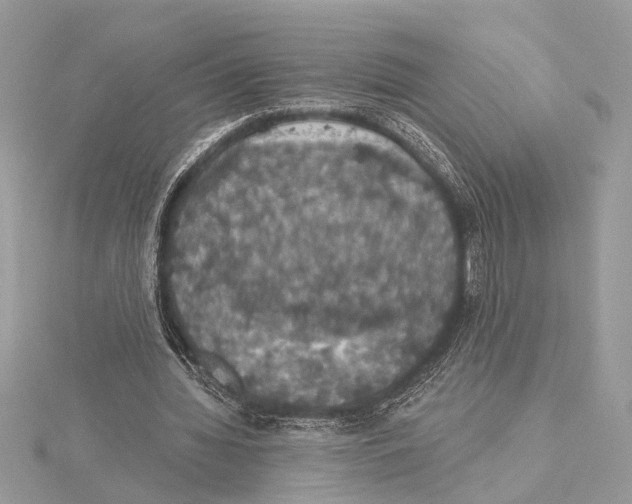 X0000115400436200912011208