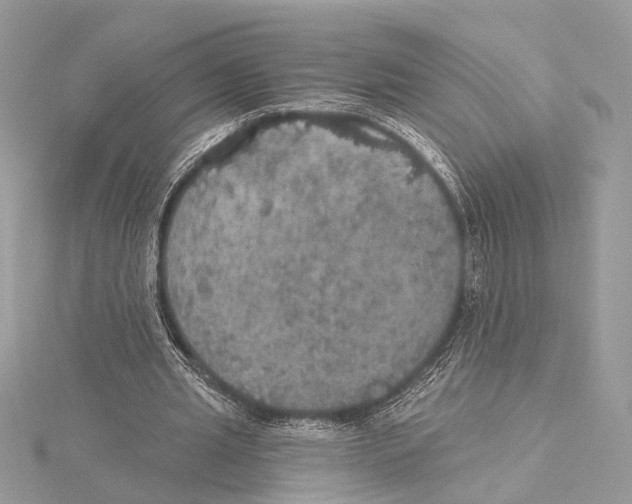 X0000115400437200912011208