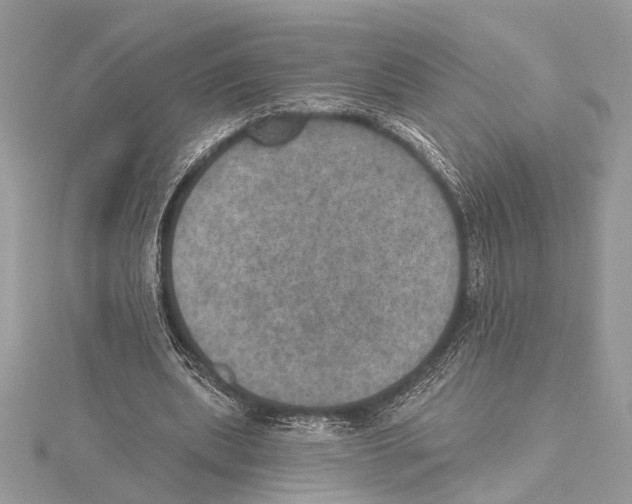 X0000115400439200912011208