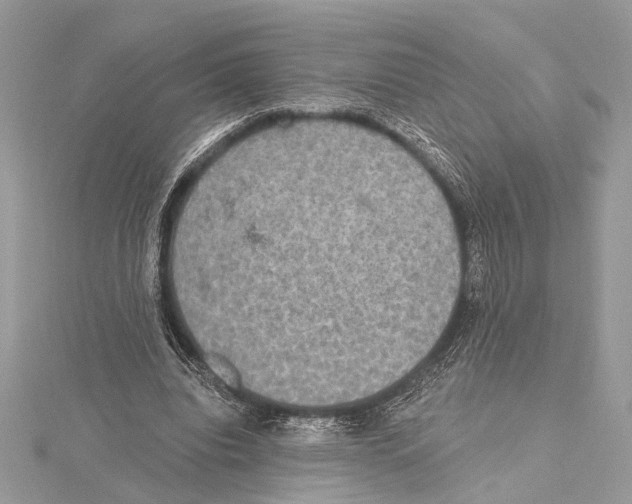 X0000115400440200912011208