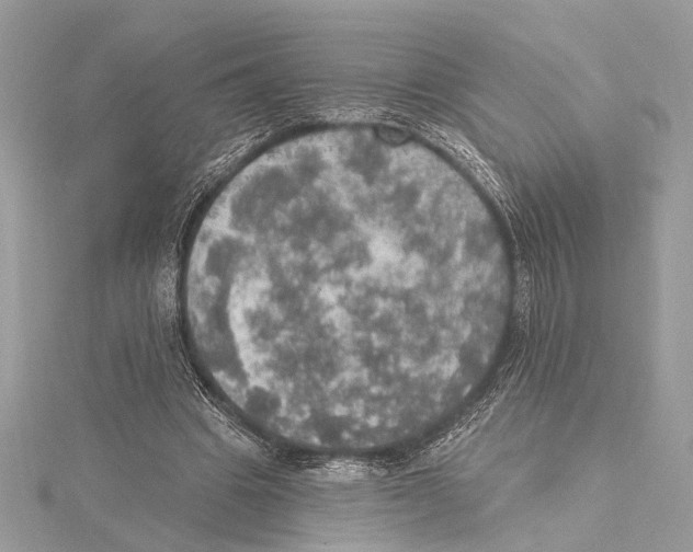 X0000115400441200912011208