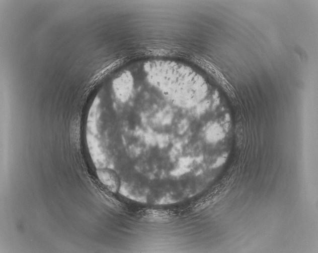 X0000115400442200912011208