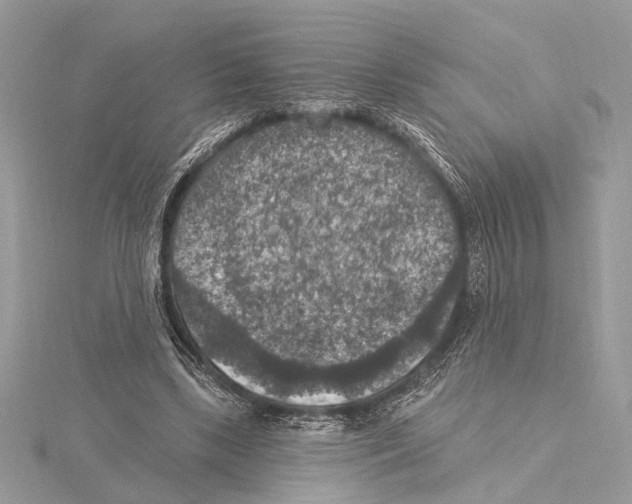 X0000115400443200912011208