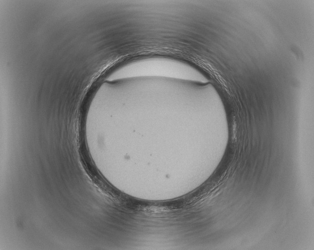 X0000115400444200912011208