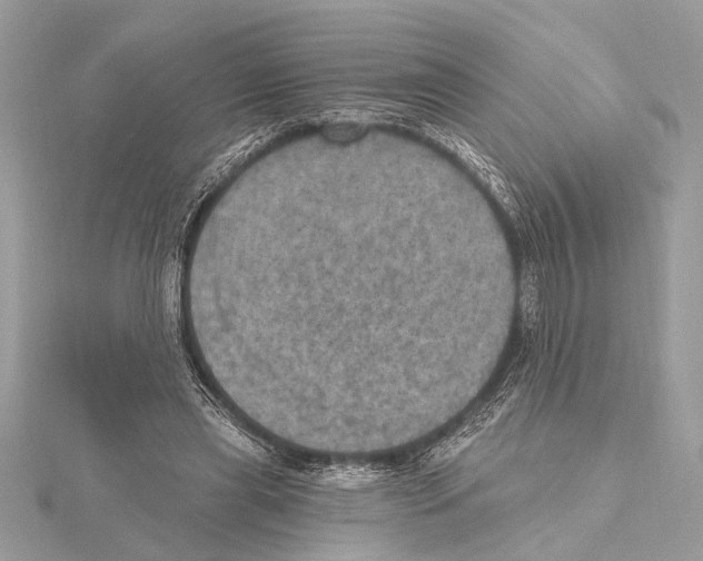 X0000115400445200912011208