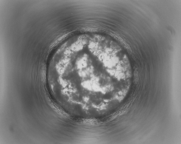 X0000115400446200912011208