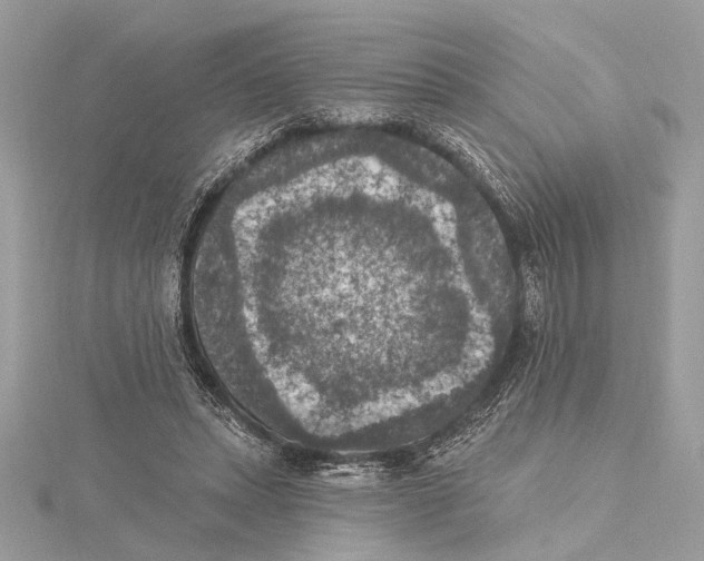 X0000115400447200912011208