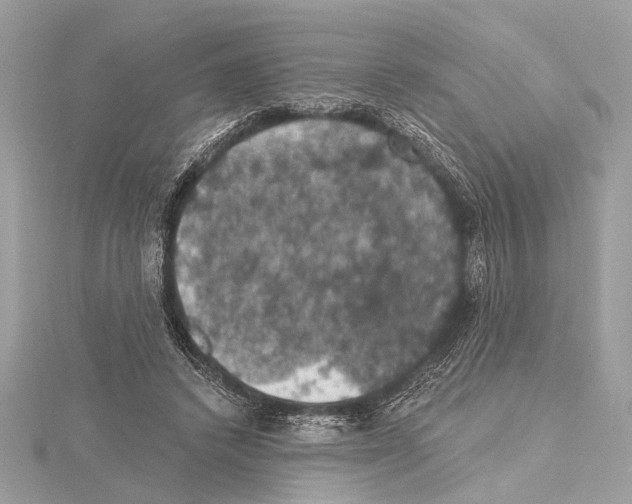 X0000115400448200912011208