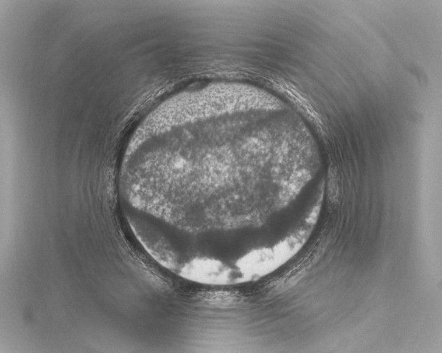 X0000115400449200912011208