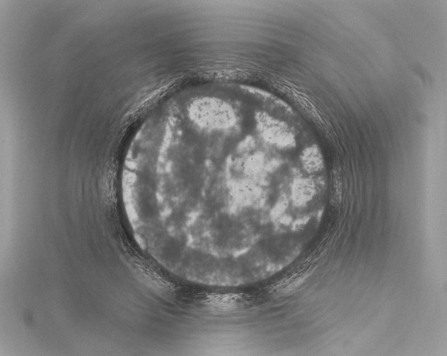 X0000115400450200912011208