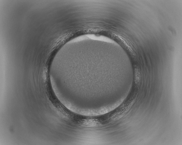 X0000115400451200912011208