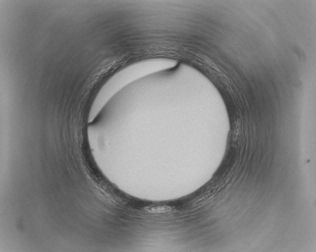 X0000115400452200912011208