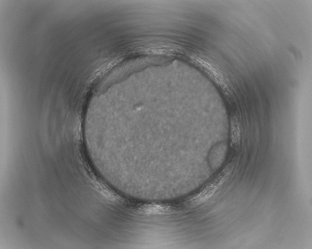 X0000115400453200912011208