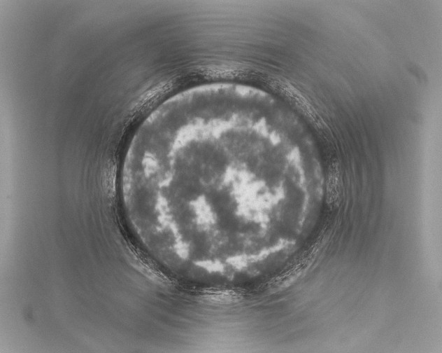 X0000115400454200912011208