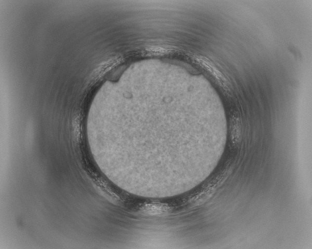 X0000115400455200912011208