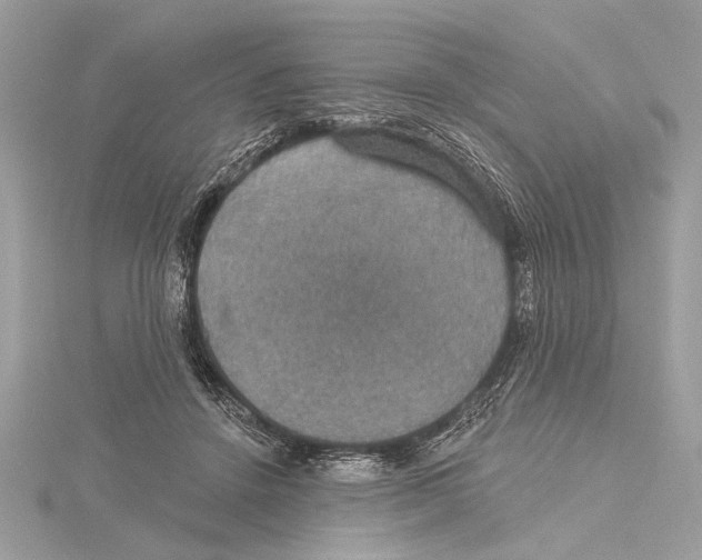 X0000115400456200912011208