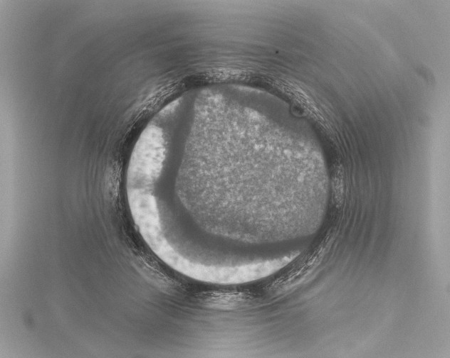 X0000115400458200912011208