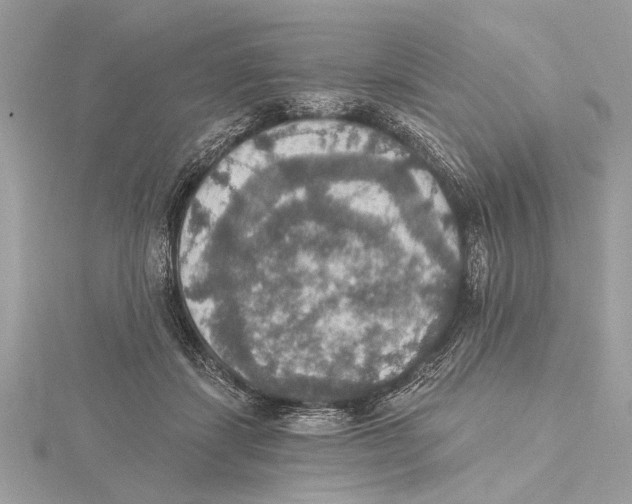 X0000115400459200912011208