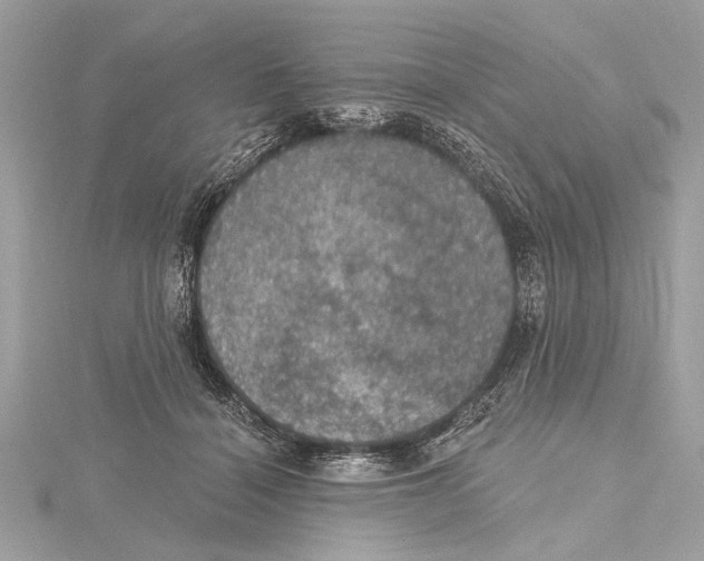 X0000115400460200912011208