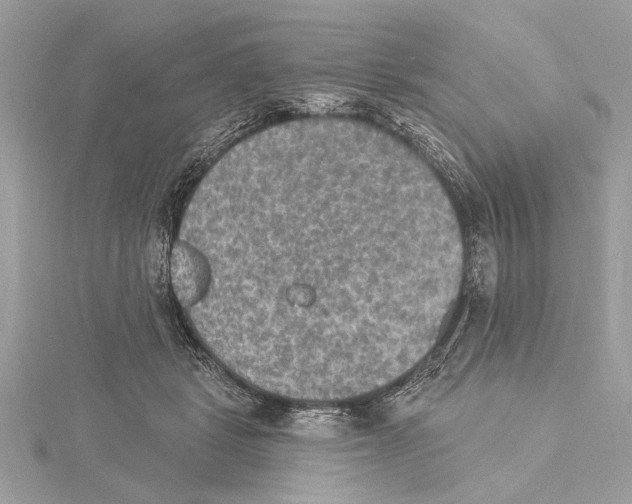 X0000115400461200912011208