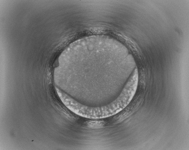 X0000115400465200912011208